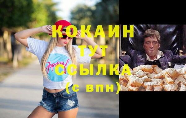 молекула духа Вязьма