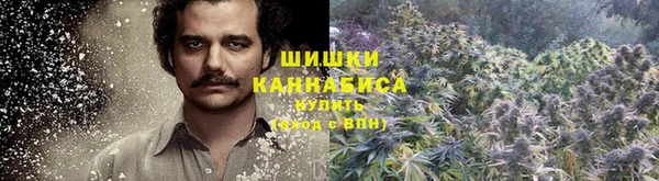 бошки Верея