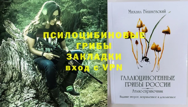 ешки Магадан