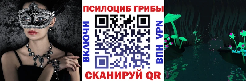 Псилоцибиновые грибы Cubensis  Кызыл 
